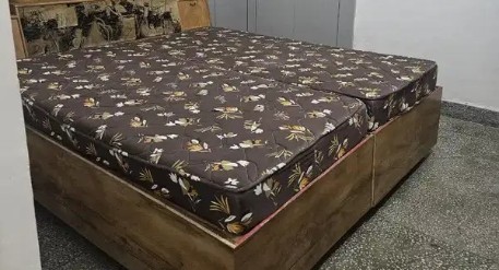 1 BHK - 1 Bathroom - 1000 sqft